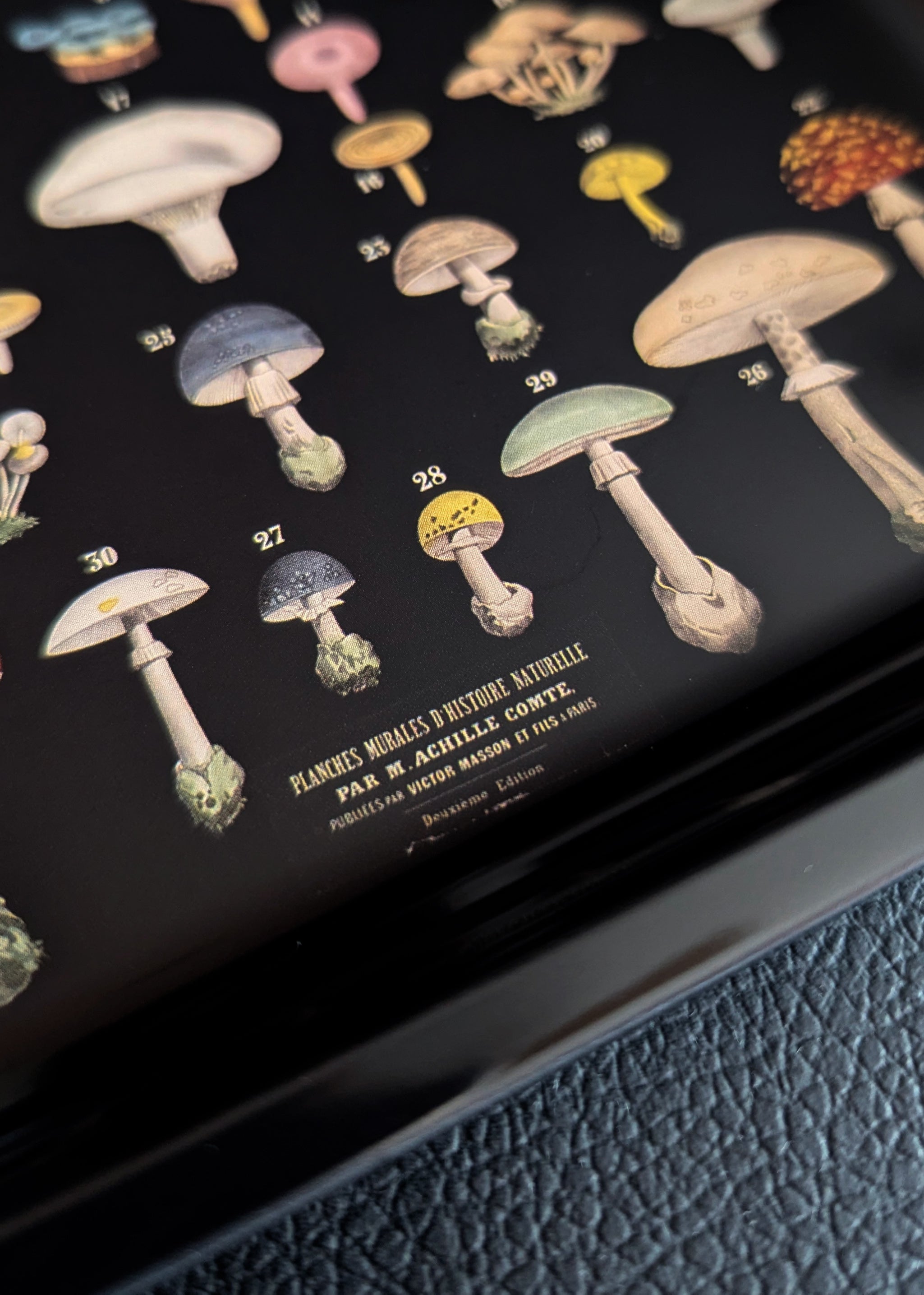 Black Mushroom Ritual Catch-All Tray by Curious Prints – Black Salt