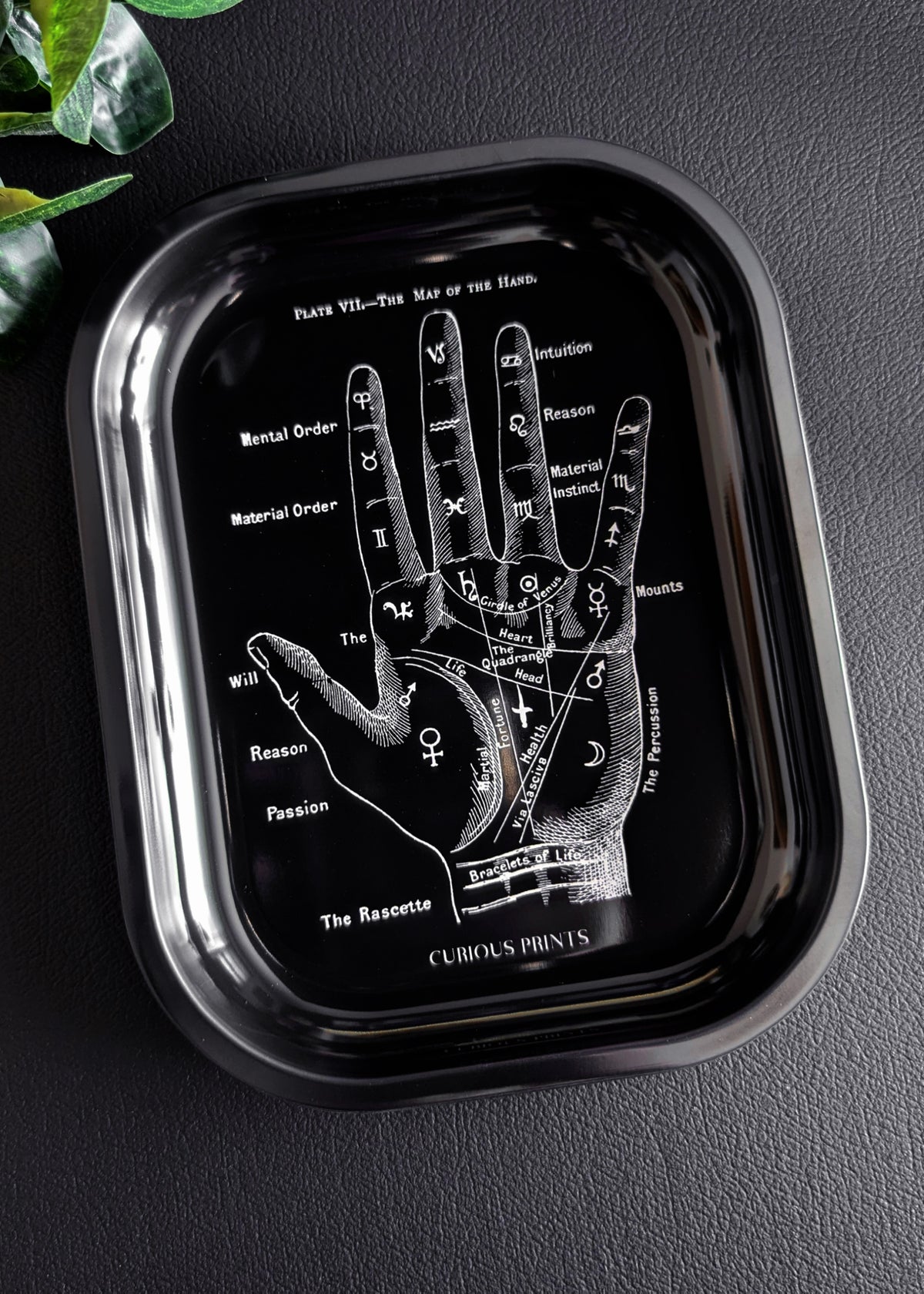 Palmistry Metal Catch-All Tray