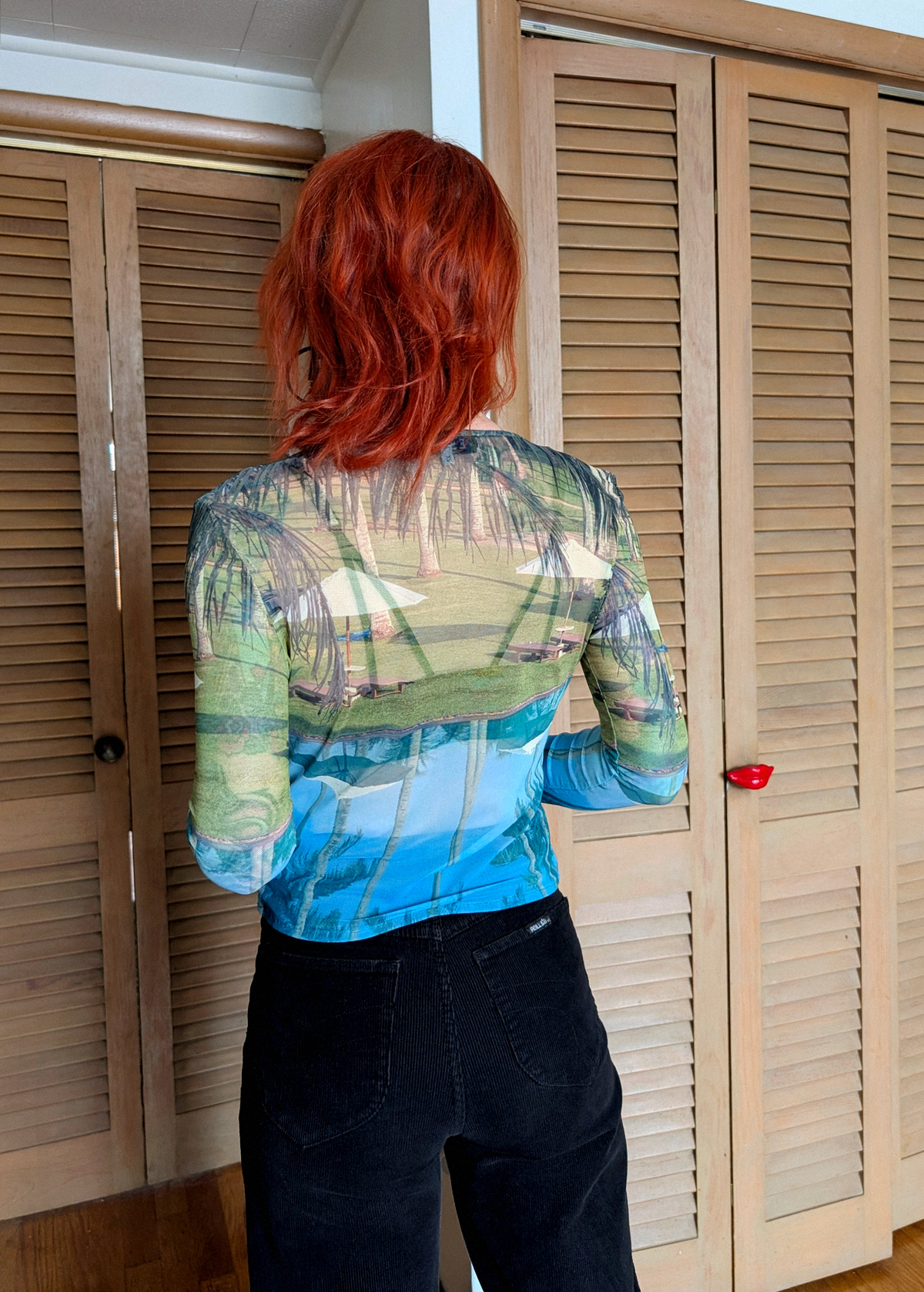 Person wearing a sheer top with a scenic print in front of wooden closet doors.