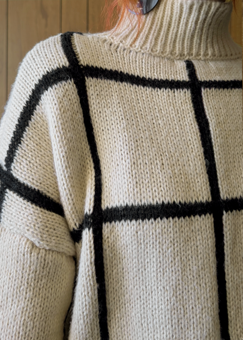 Close-up of a person wearing a beige sweater with black grid pattern.