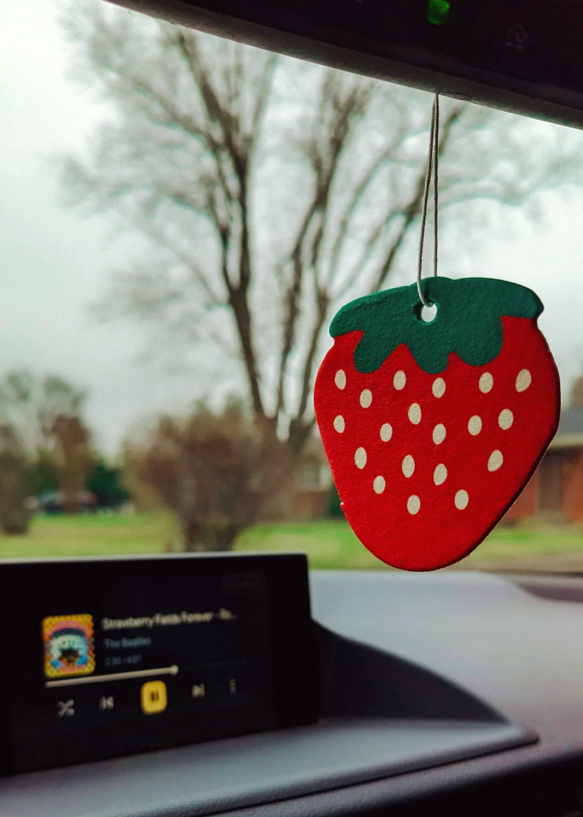 Strawberry Air Freshener